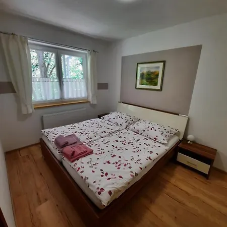 アパート Ferienwohnung Raunegger クラムザッハ